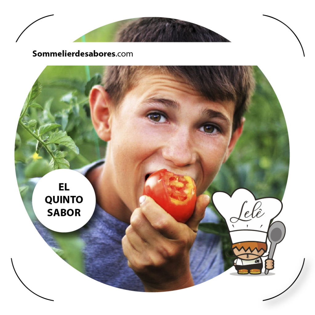 ¿Dulce, ácido, salado, amargo, umami qué sabor preferimos los mexicanos? Goula