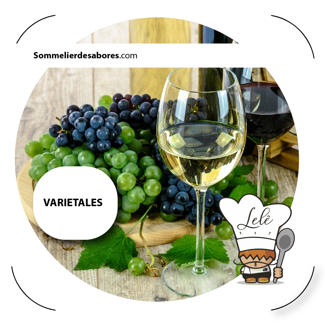 Sommelier de vinos