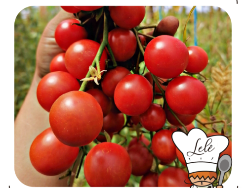 tomates dulces