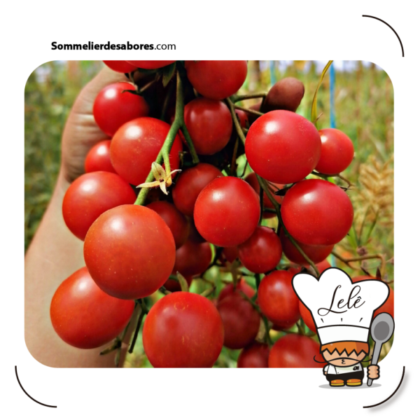 tomates dulces