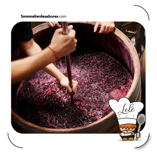 Fermentación en la cocina