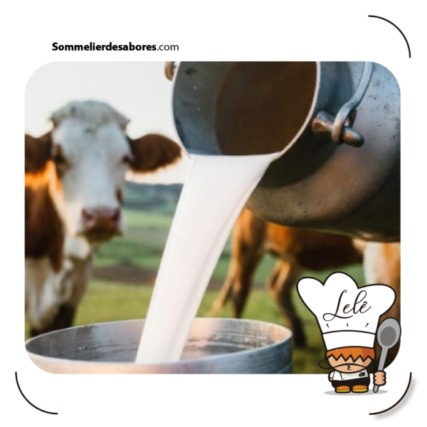 sabor de la leche