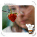 diseño inteligente de alimentos